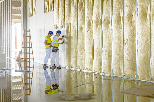 Best Geographic-Specific Insulation Services in Hope Mills, NC